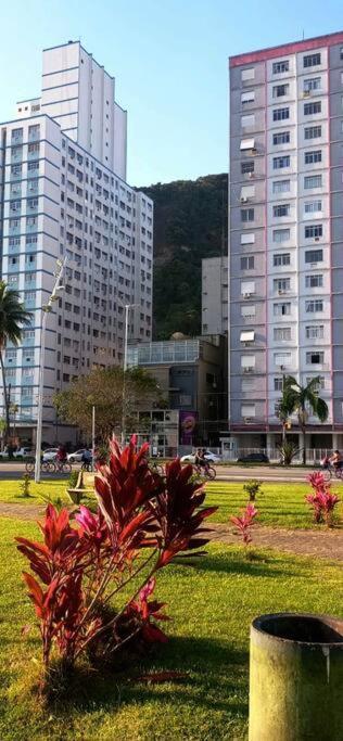 Apartament Apartamento Studio Itarare São Vicente Zewnętrze zdjęcie